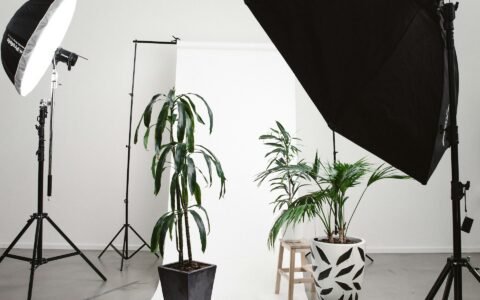 un estudio de fotografía con focos, plantas y pantalla