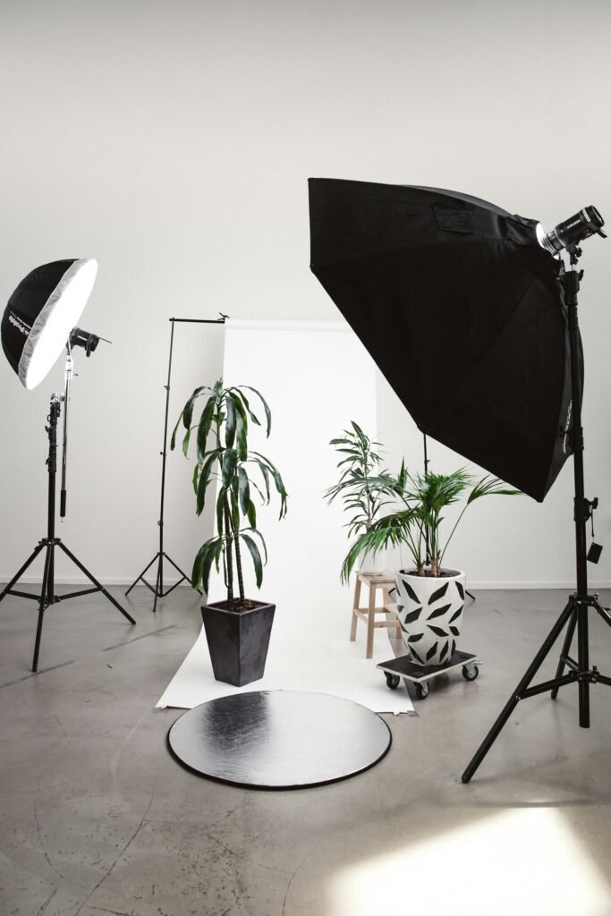 un estudio de fotografía con focos, plantas y pantalla