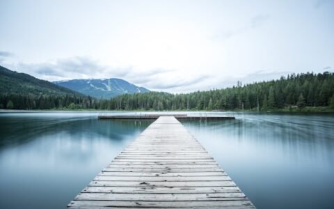 un muelle de madera en un lago