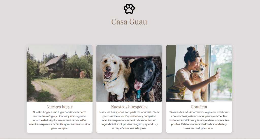 front end con tres cards de perros